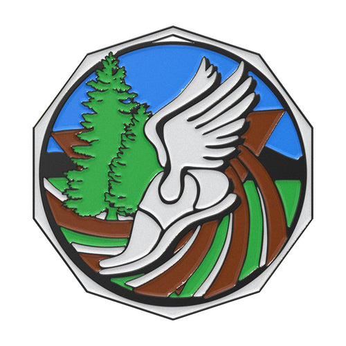 Cross Country Decagon Colored