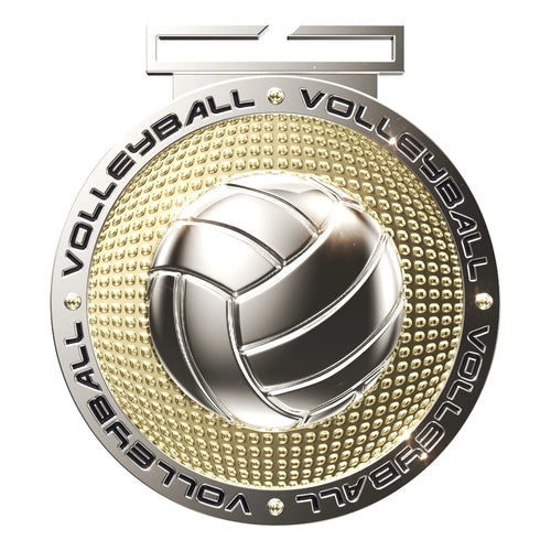 Dual Plated Volleyball