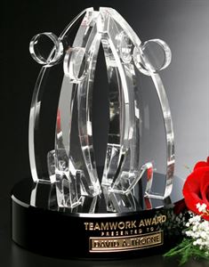 Picture of Teamwork Award 8"