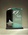 Picture of Acrylic Star Award