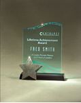 Picture of Acrylic & Patina Star Award