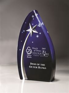 Picture of Medium Star Award