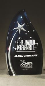 Picture of Large Star Award