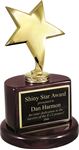 Picture of Gold Star Trophy with Piano Wood Base