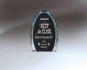 Picture of Small Blue Dynasty Award