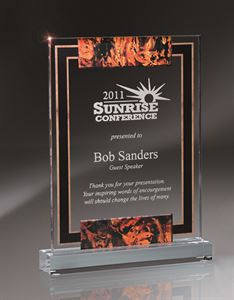 Picture of Large Standard Digi-Color Lucite Award