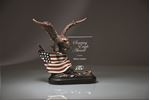 Picture of Antique Bronze Resin Cast Eagle with Flag and Beveled Glass