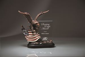 Picture of Antique Bronze Resin Cast Eagle with Flag and Beveled Glass