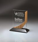 Picture of Bamboo/Lucite Vertical Award