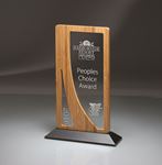 Picture of Bamboo/Lucite Vertical Window Award