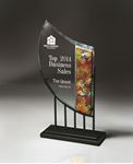 Picture of Iron and Jade Glass Mosaic Award