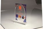 Picture of Tiered Infusion Dome Award
