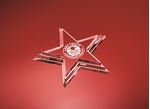 Picture of Star Paperweight - Boxed