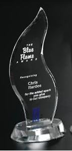 Picture of Freeform Award 10"