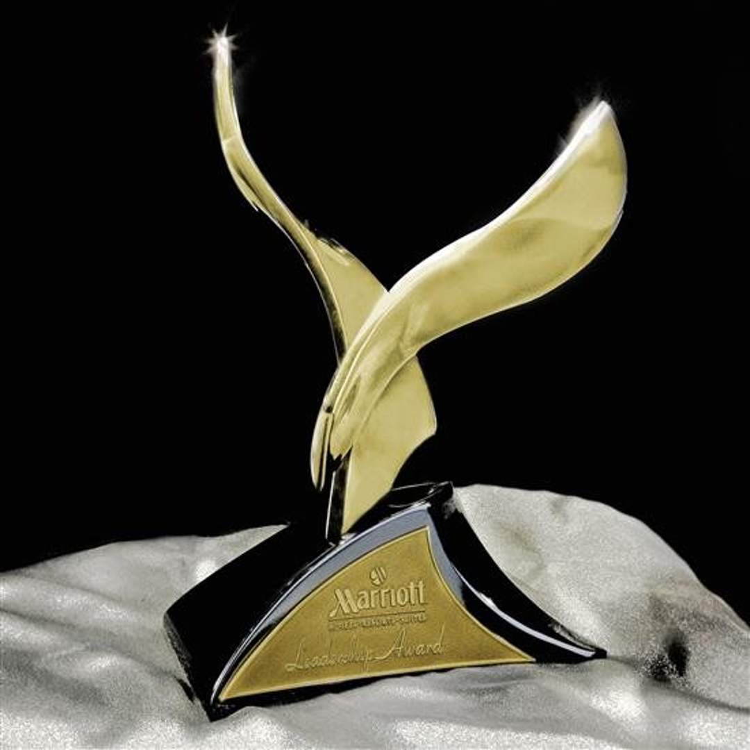 Intrepid Cast Metal Eagle Award
