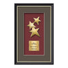 Baron Constellation Framed Award