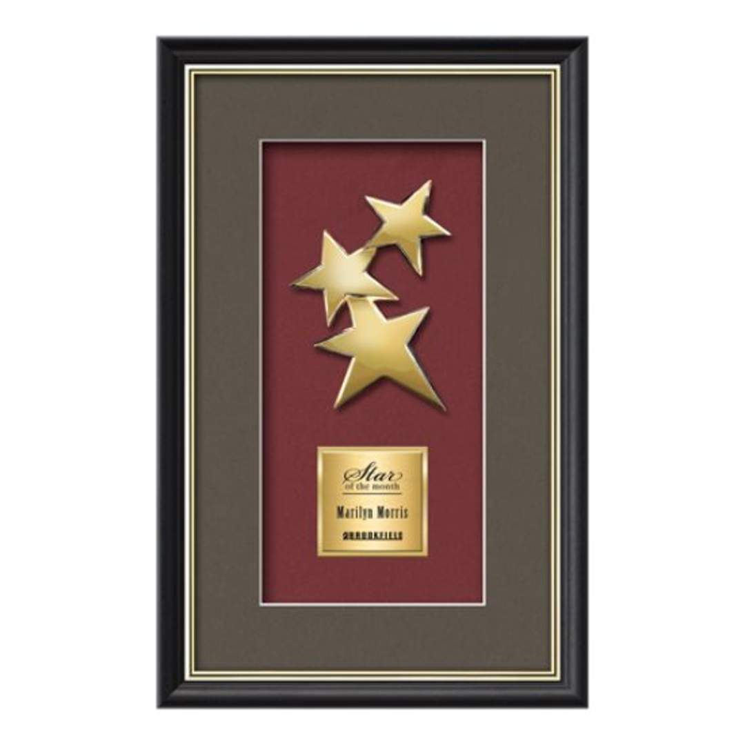 Baron Constellation Framed Award