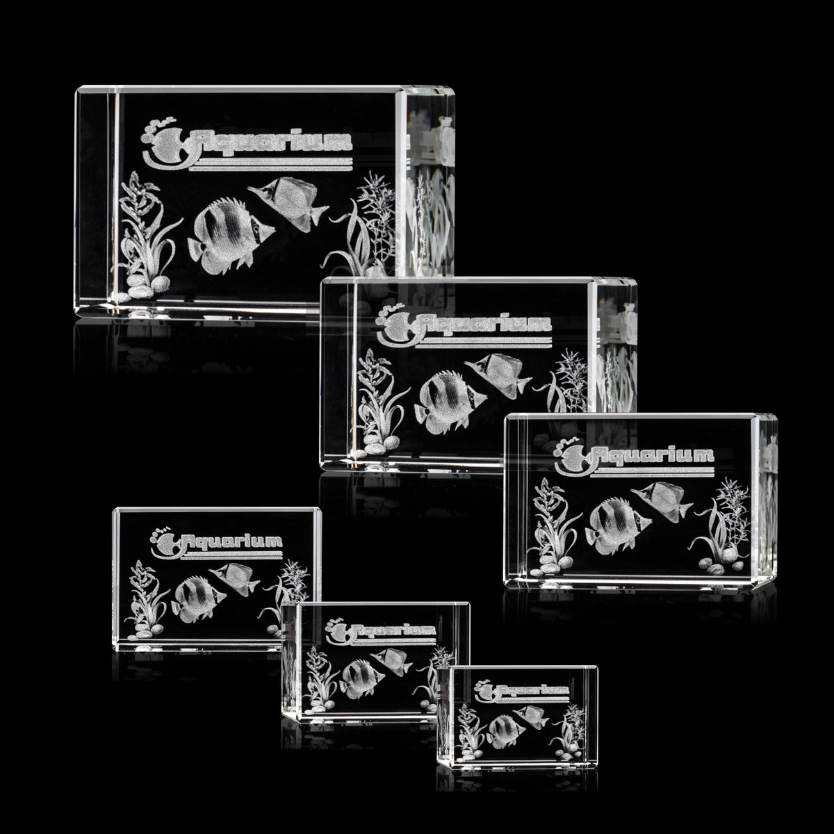 Lexington Cube 3D Award