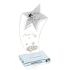 Nova Shooting Star Award — Glass and Granite Options