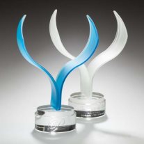 Aerial Award