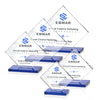 Wellington VividPrint™ Award