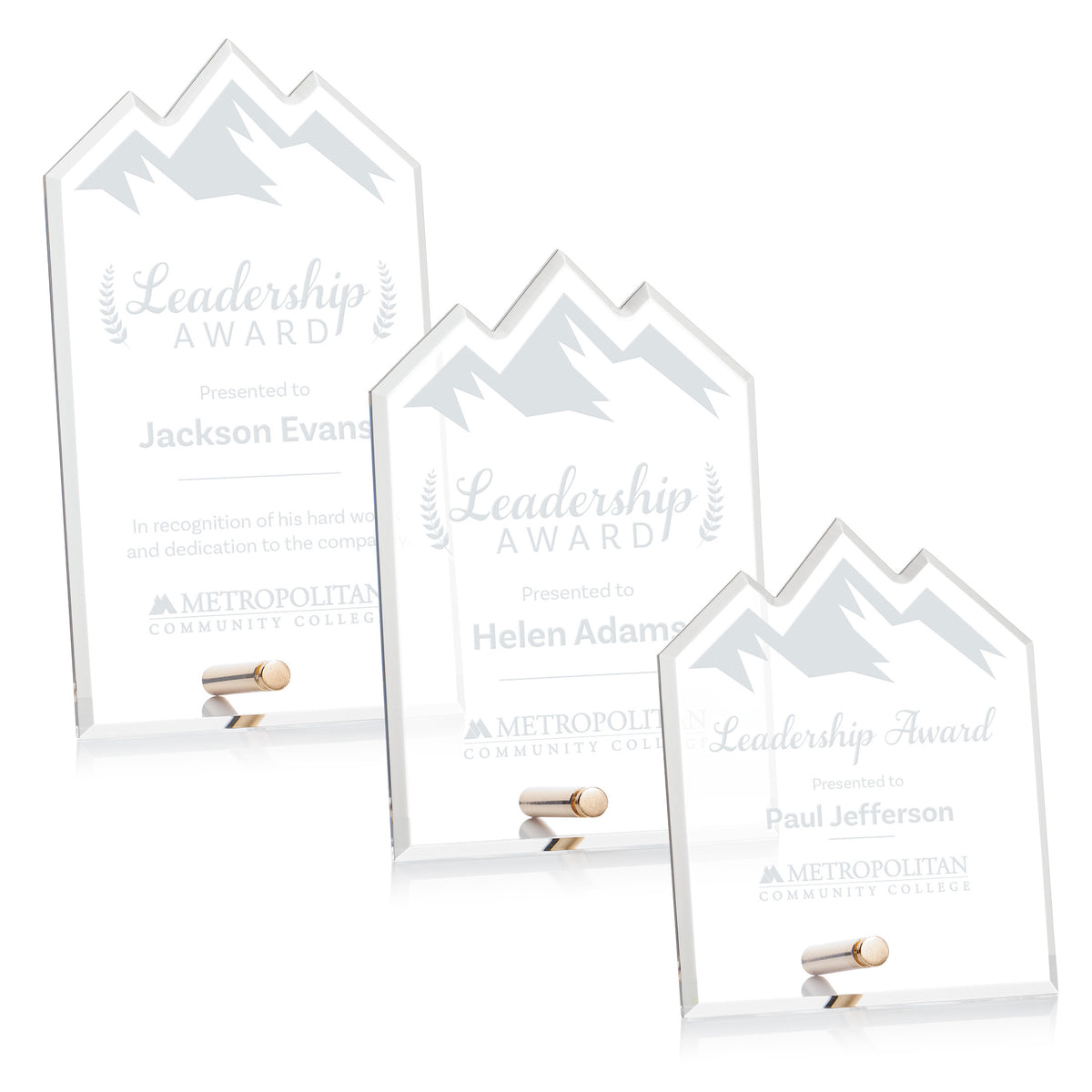 Polaris Summit Award - Gold