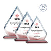 Apex VividPrint™ Award