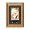 Regal VividPrint Metal Framed Award