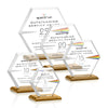 Barnett VividPrint™ Award