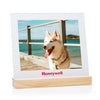 Bassan Frame