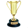 Gold Loving Cup Award