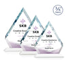 Apex VividPrint™ Award