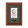 Terrene VividPrint Metal Framed Award