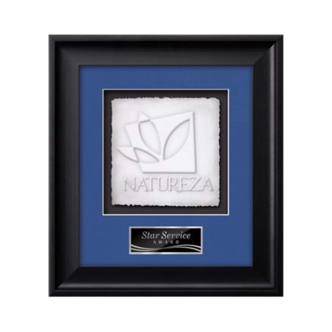 Yorktech Cast Paper Framed Award