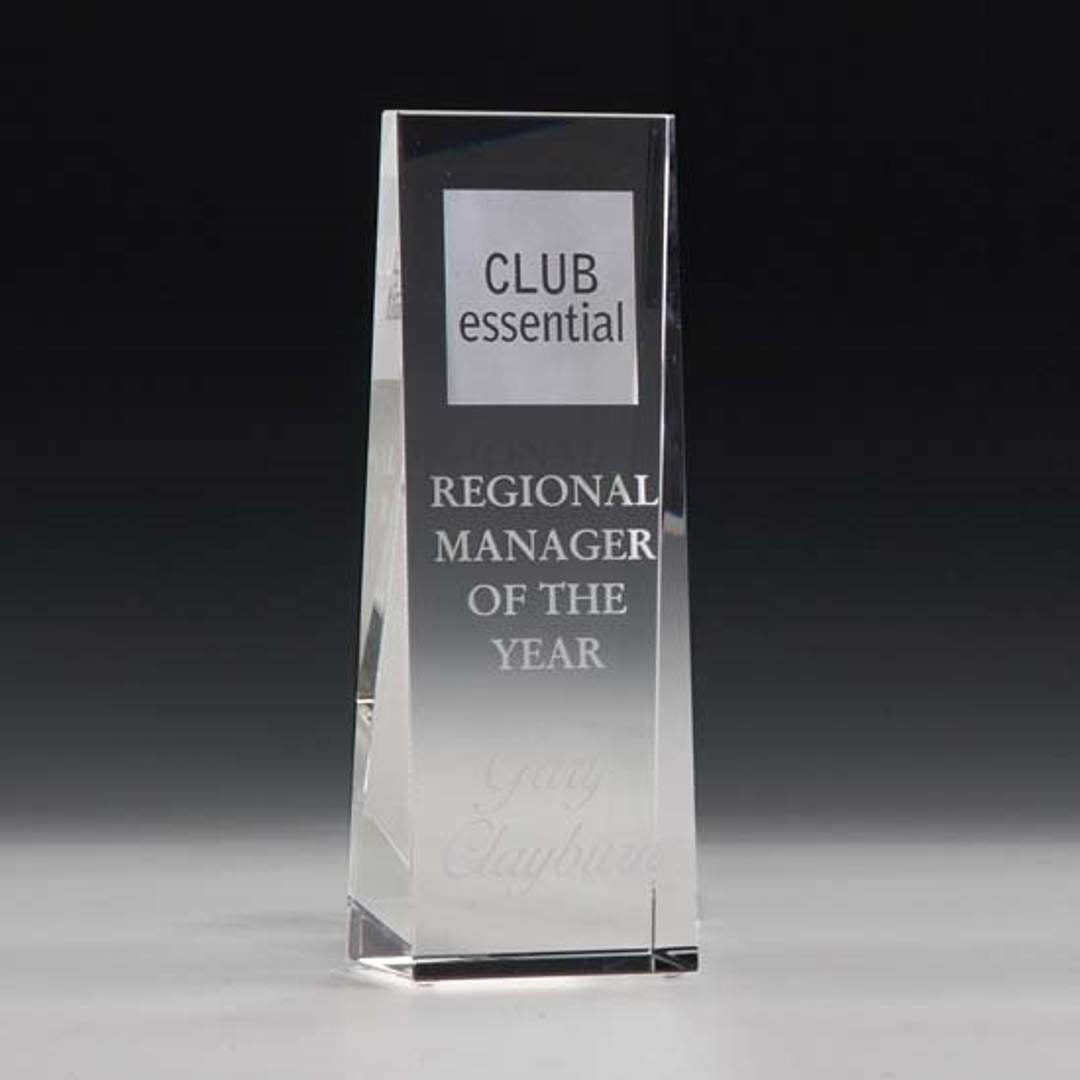 McKinley Tower Award