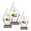 Cancun VividPrint™ Award