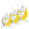 Oakley VividPrint™ Award