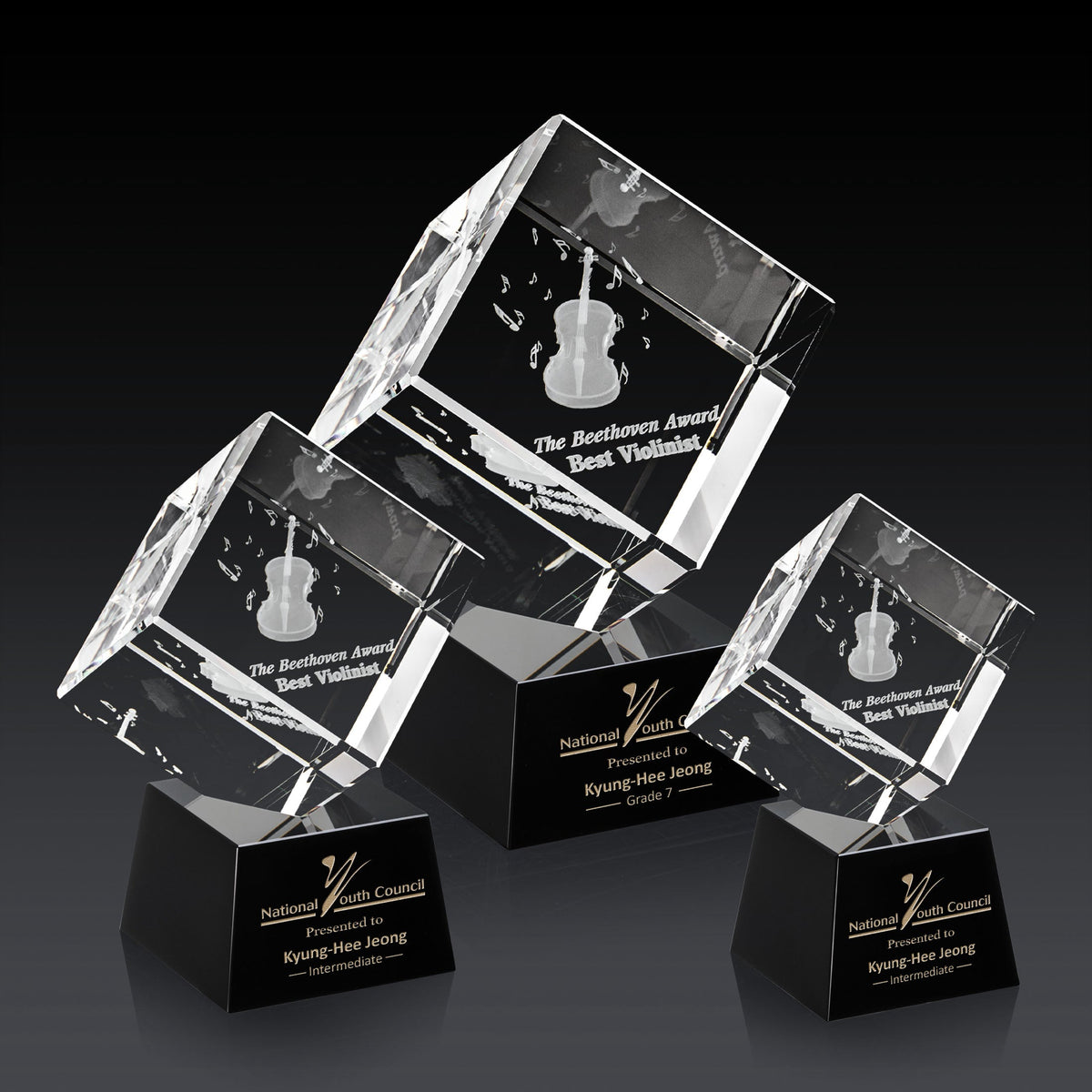 Burrill 3D Award on Robson Base