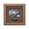 Romagna VividPrint Metal Framed Award
