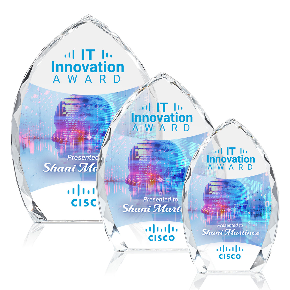 Wilton VividPrint™ Award