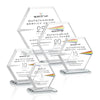 Barnett VividPrint™ Award