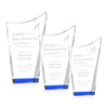Burnett Award