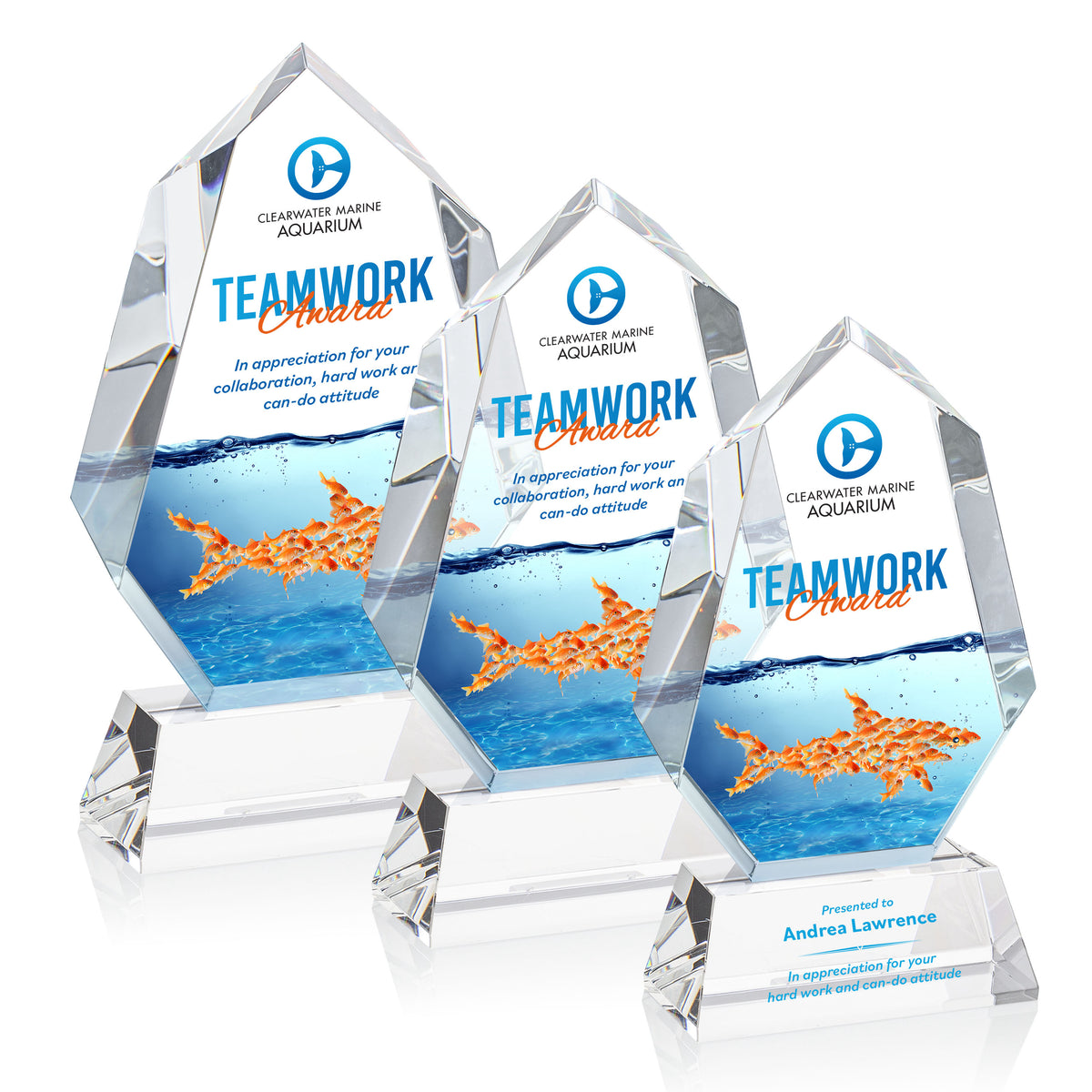 Norwood VividPrint™ Award on Newhaven Base