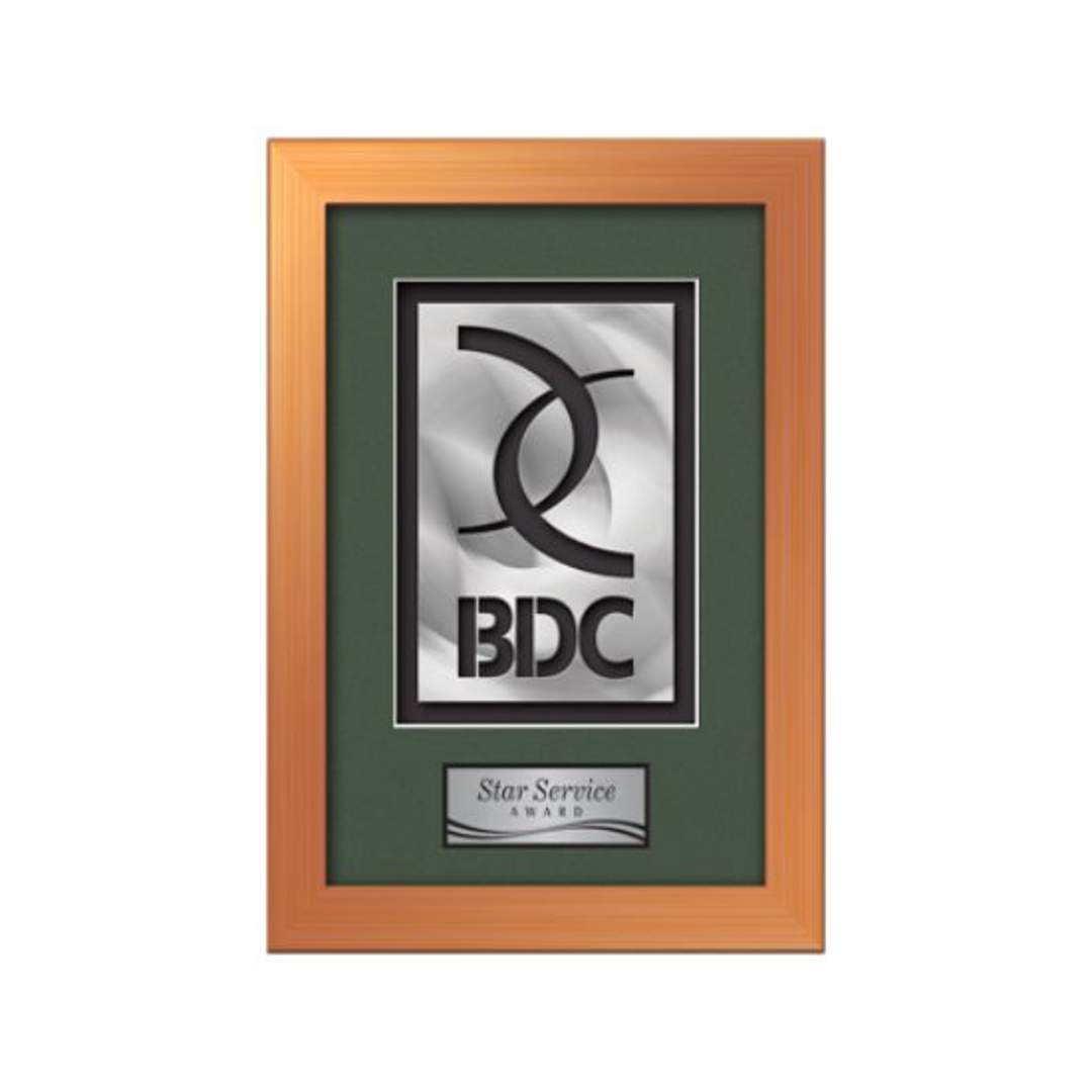 Eldridge Aquashape Framed Award