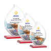 Nestor Flame VividPrint™ Award
