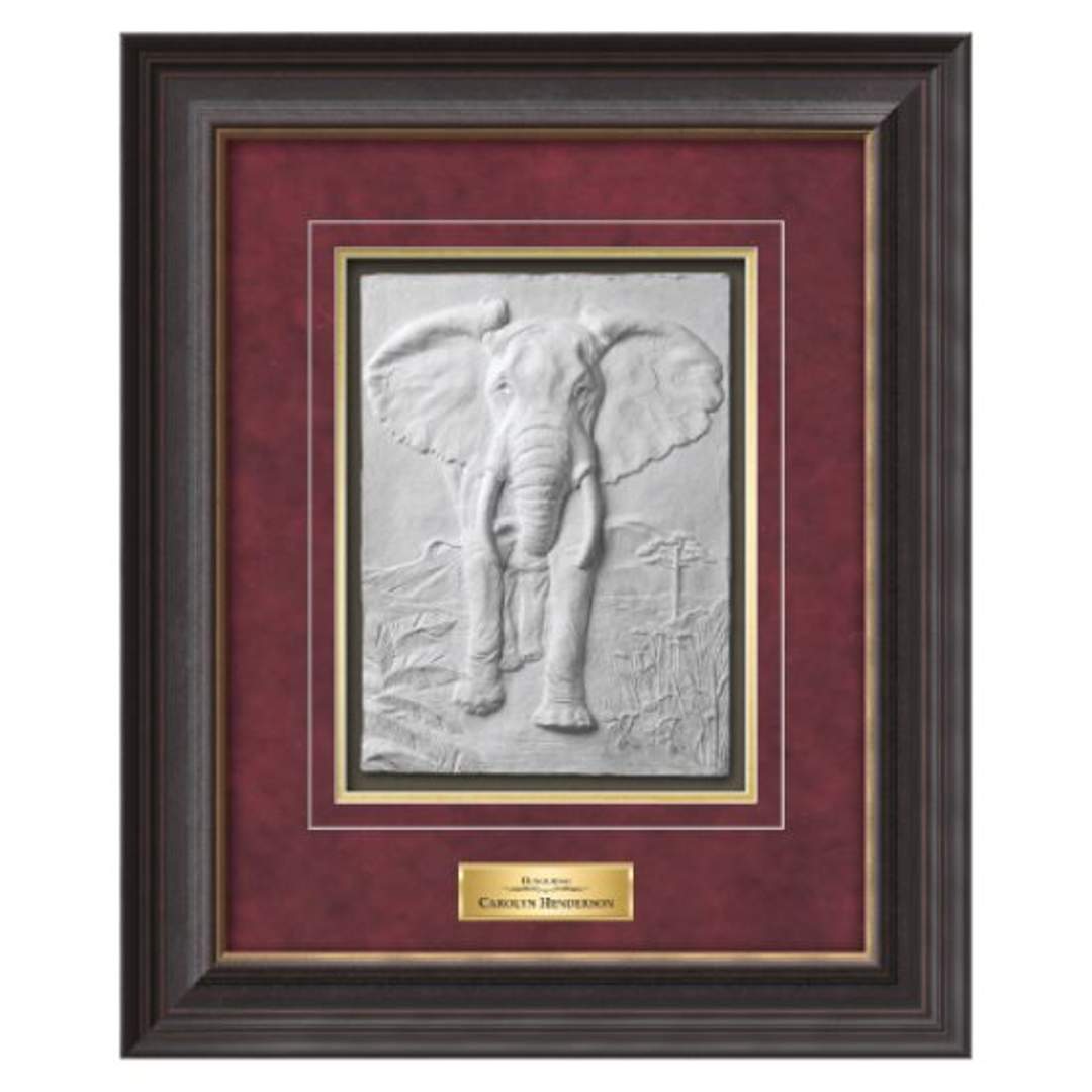 Safari Walk Framed Award