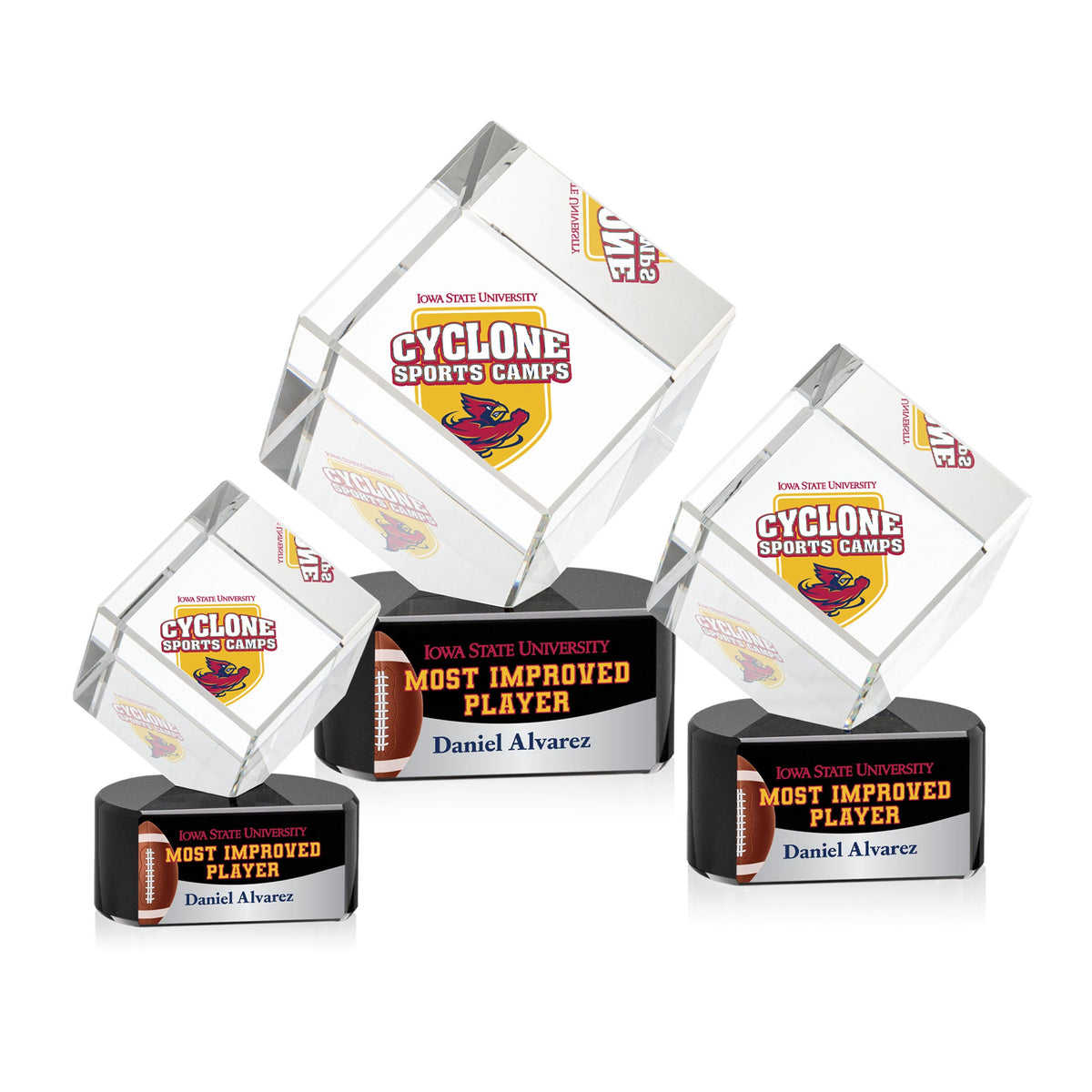 Burrill VividPrint™ Award on Paragon Base