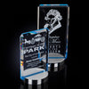 Stratum Award — Color and Size Options