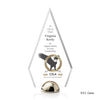 Apex Hemisphere VividPrint™ Award