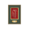 Fenestra Framed Award